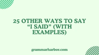 Other Ways to Say “I Said”